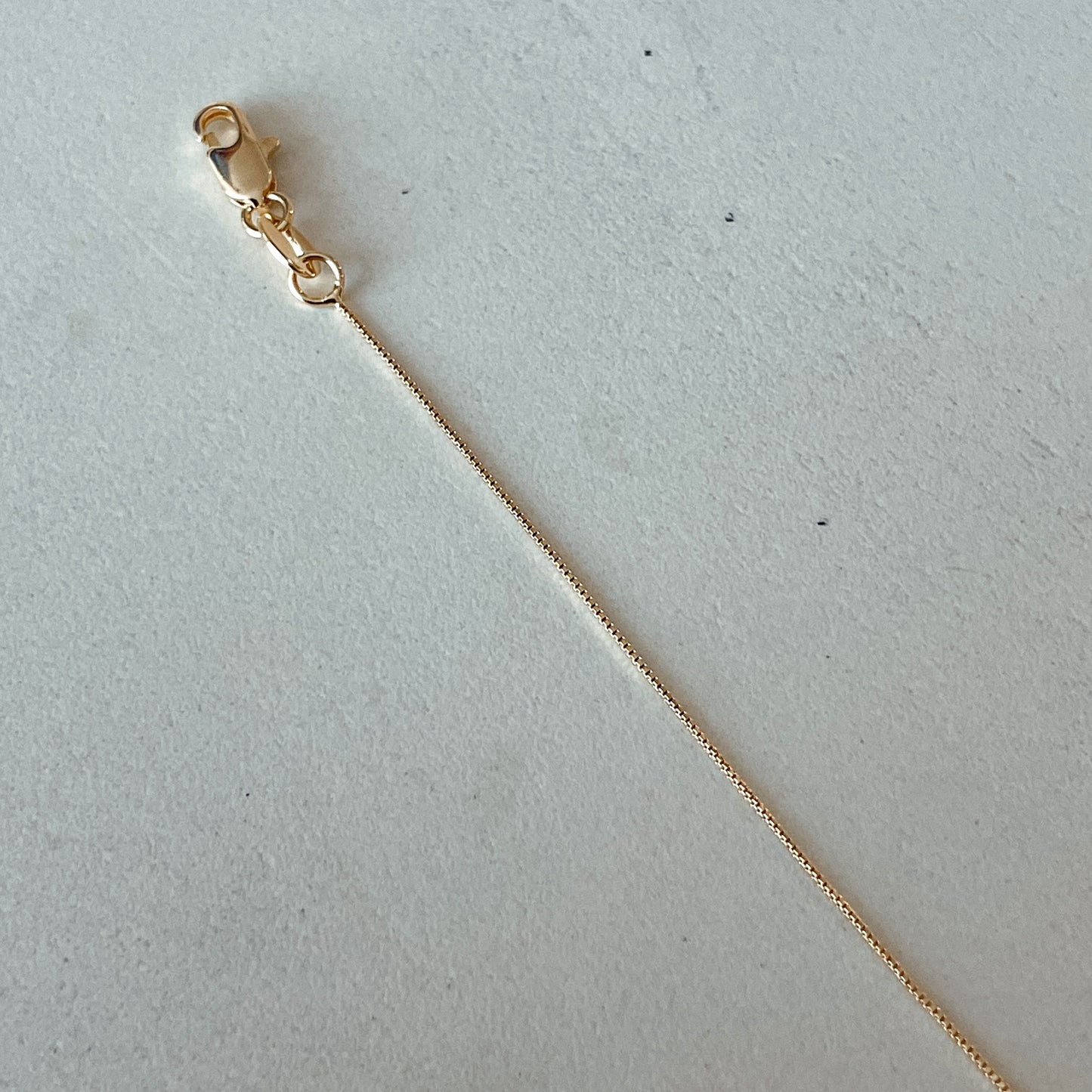 Delicata Anklet